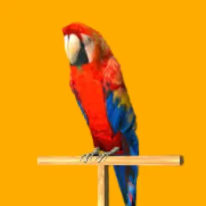 Tony GTA San Andreas Character